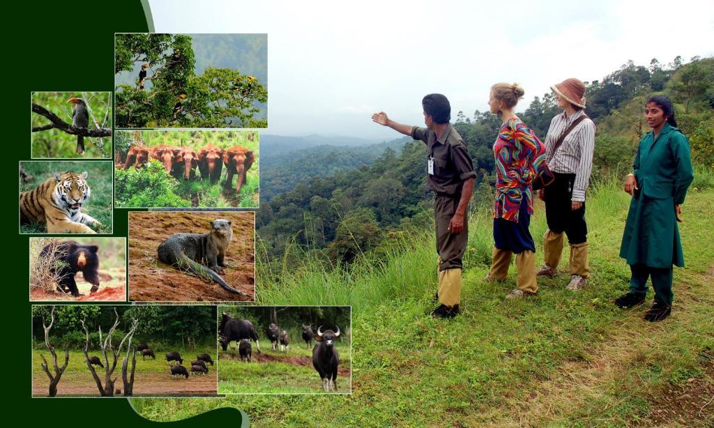 Jungle Park Resorts Thekkady Εξωτερικό φωτογραφία